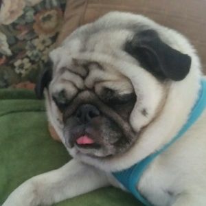 Meet your Posher, Brooke